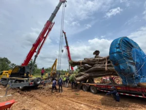 บริษัท เซียนพาณิชย์ จำกัด